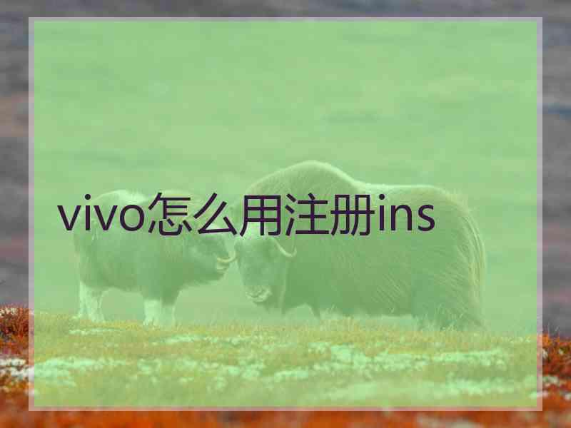 vivo怎么用注册ins