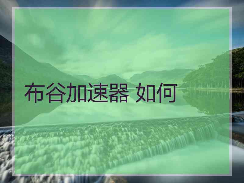 布谷加速器 如何