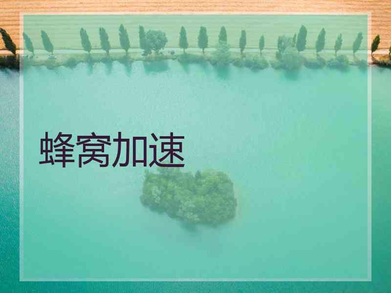 蜂窝加速