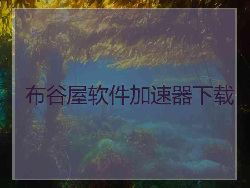 布谷屋软件加速器下载