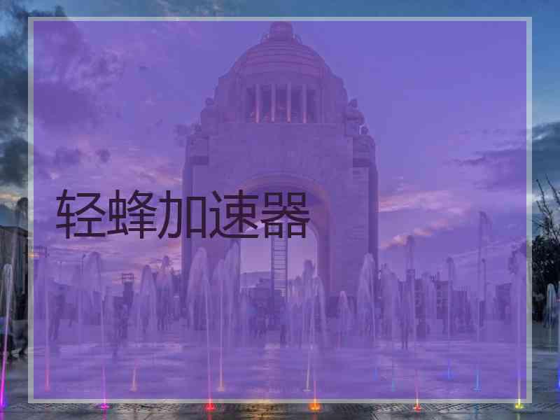 轻蜂加速器