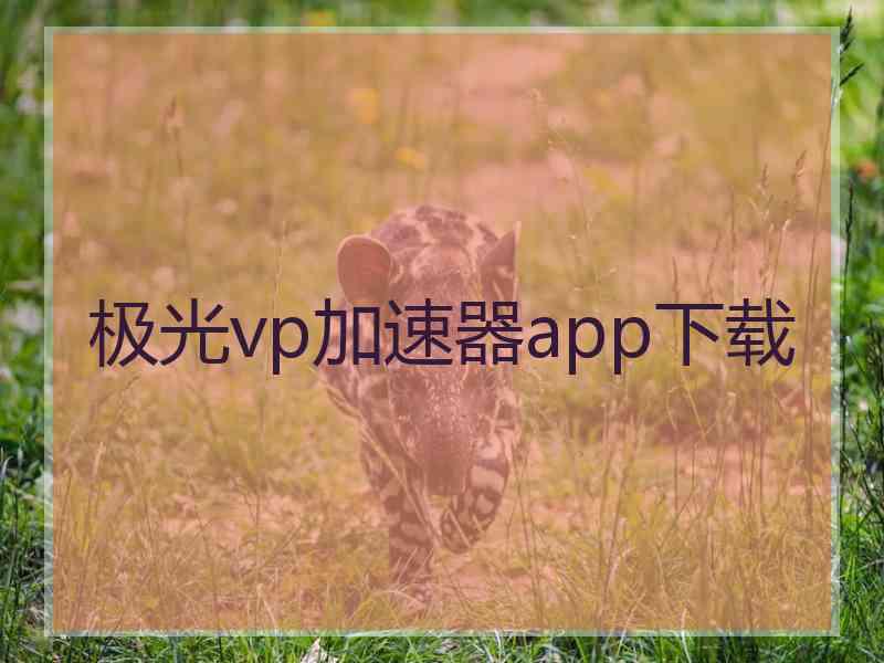 极光vp加速器app下载
