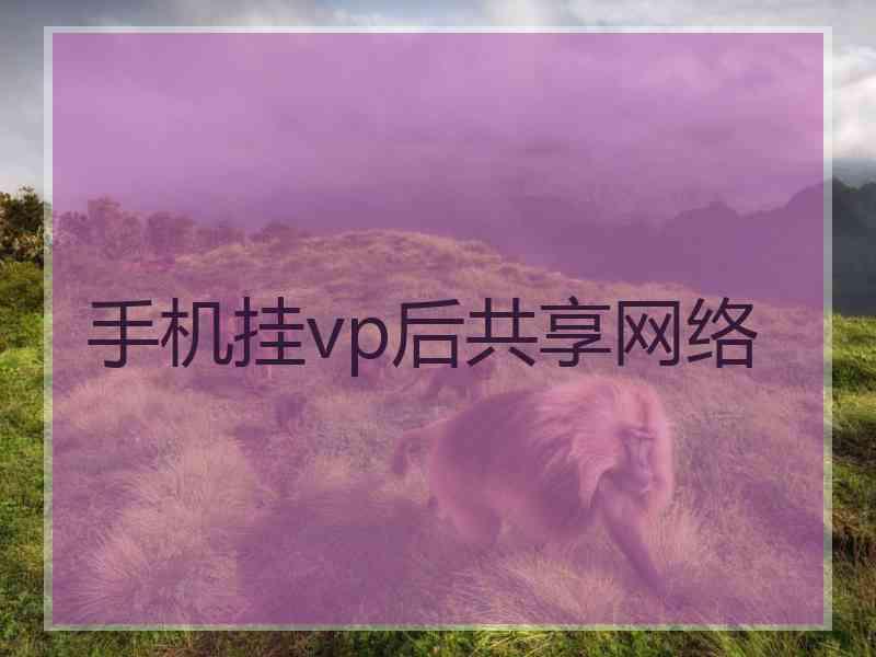 手机挂vp后共享网络