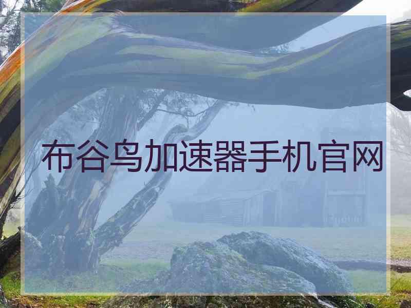 布谷鸟加速器手机官网