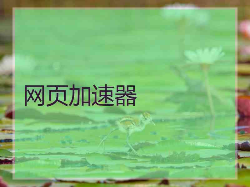 网页加速器