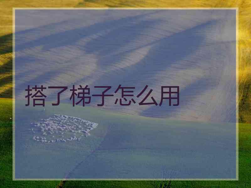 搭了梯子怎么用