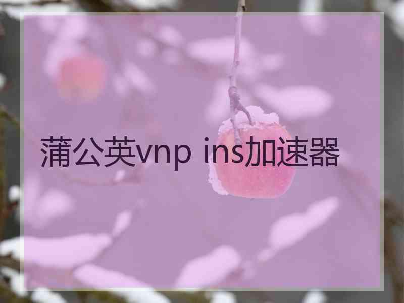 蒲公英vnp ins加速器