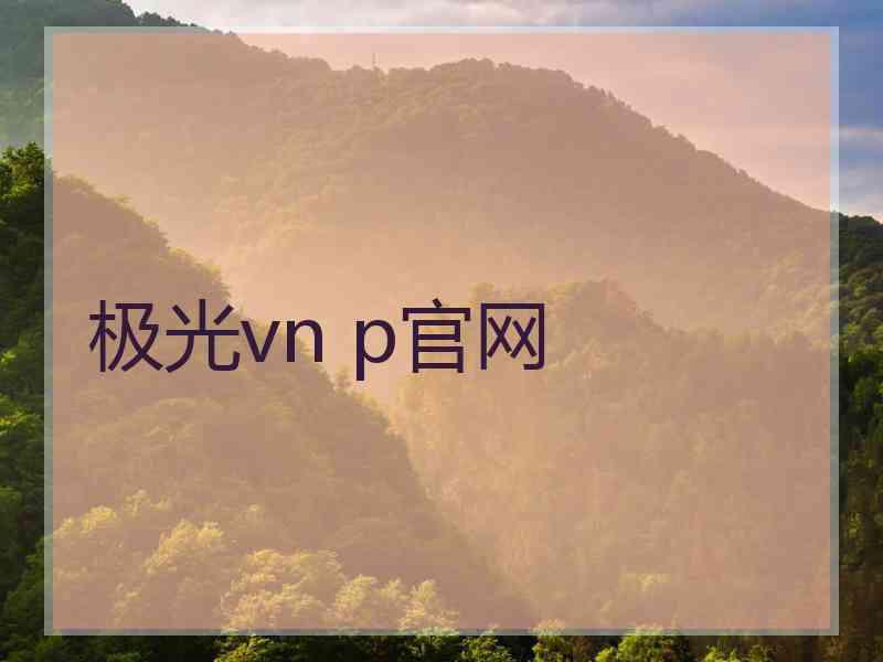极光vn p官网