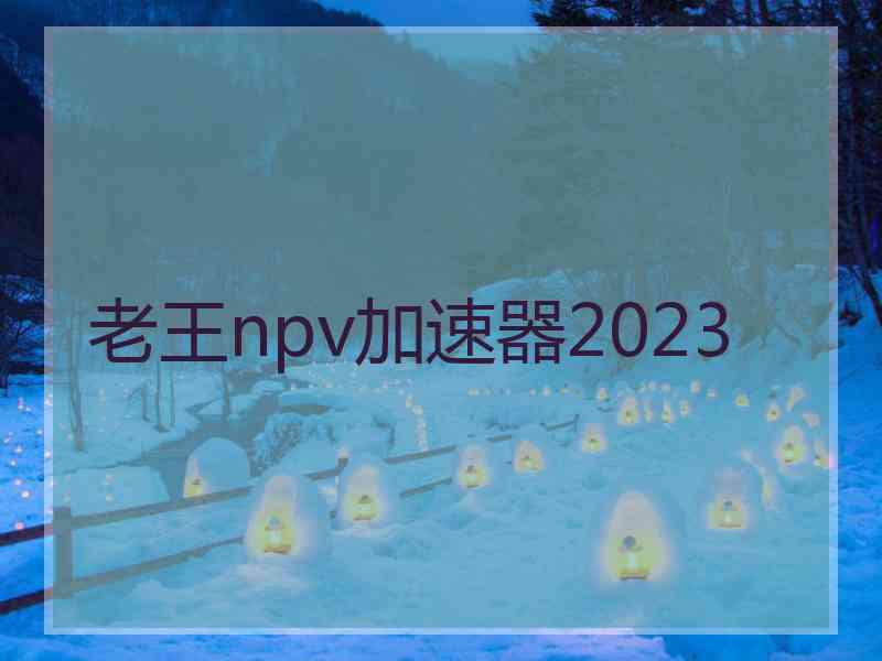 老王npv加速器2023