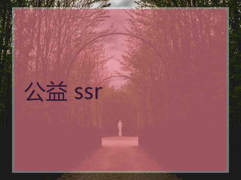 公益 ssr