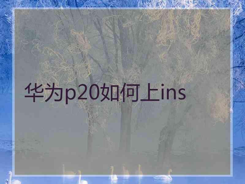 华为p20如何上ins