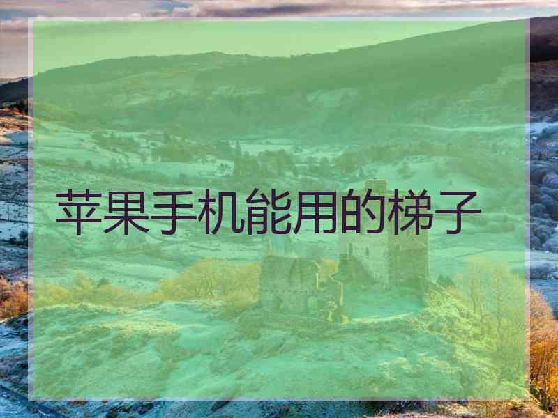 苹果手机能用的梯子