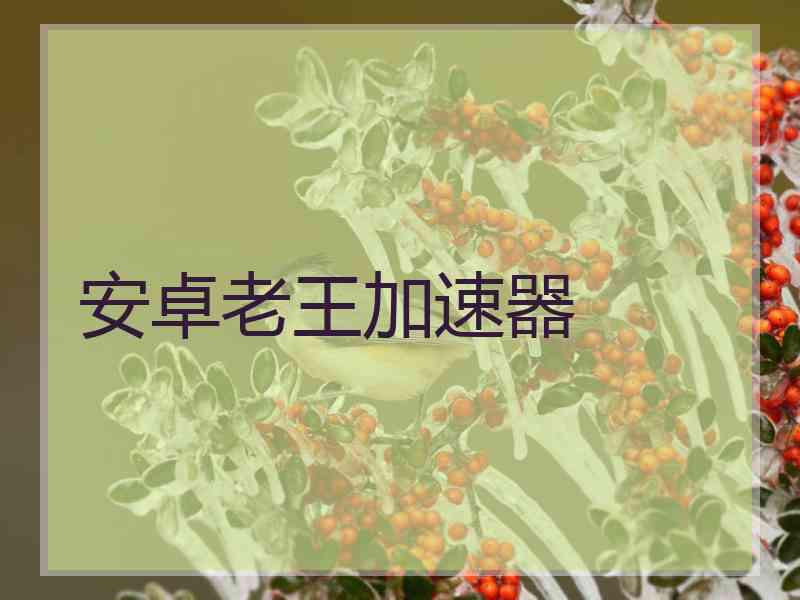 安卓老王加速器