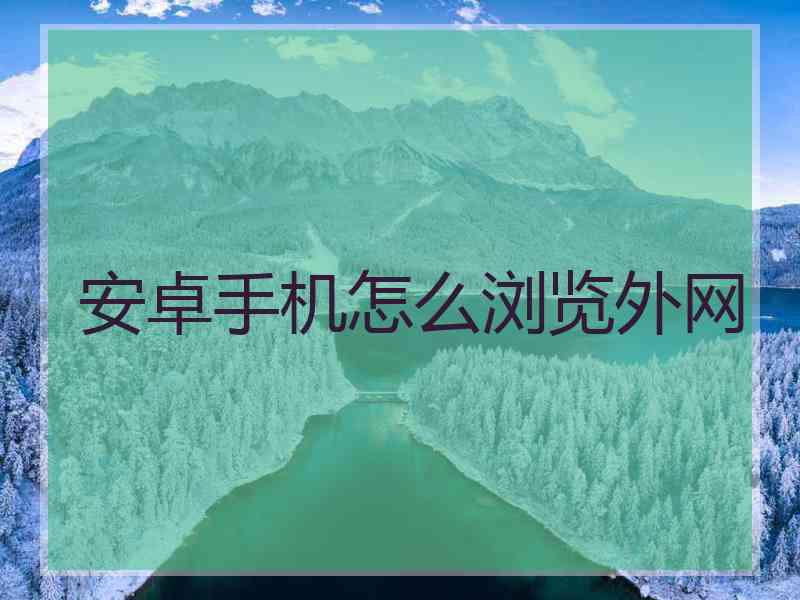 安卓手机怎么浏览外网