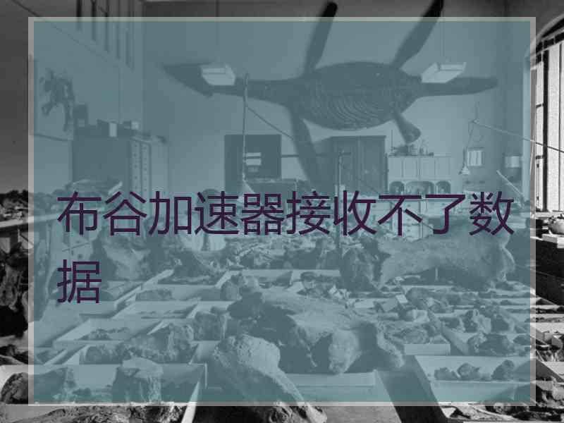 布谷加速器接收不了数据