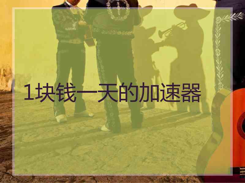 1块钱一天的加速器