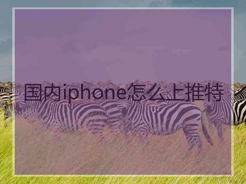 国内iphone怎么上推特