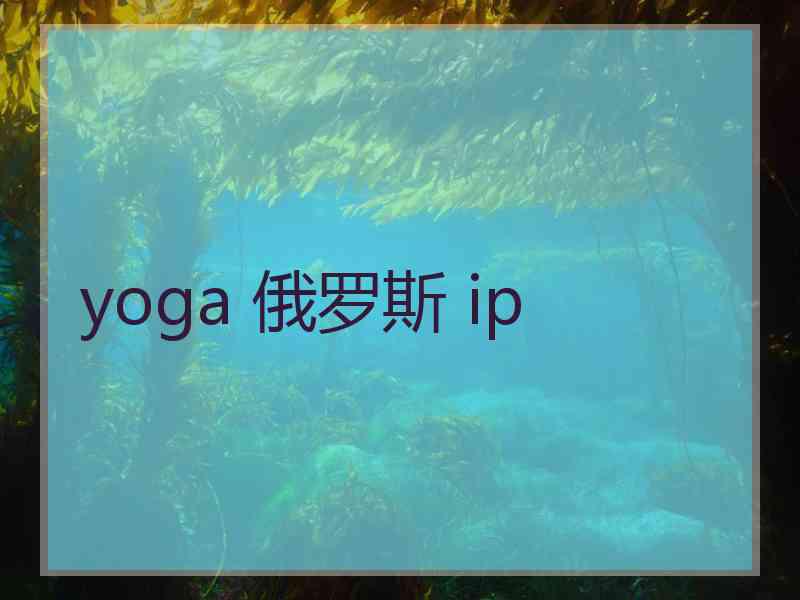 yoga 俄罗斯 ip