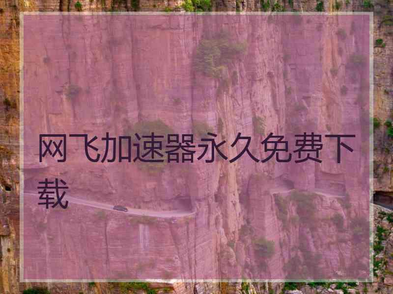 网飞加速器永久免费下载