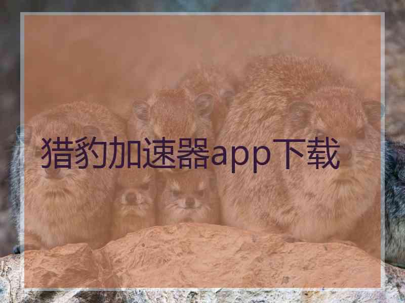 猎豹加速器app下载