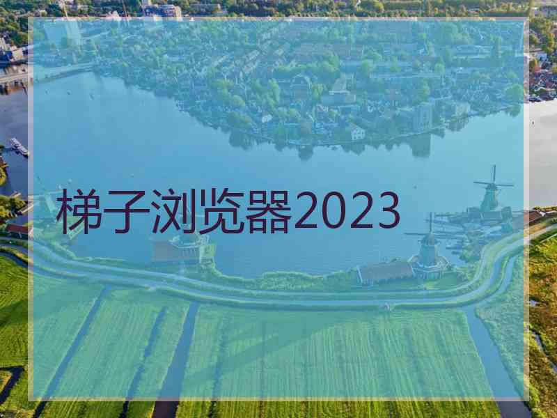 梯子浏览器2023