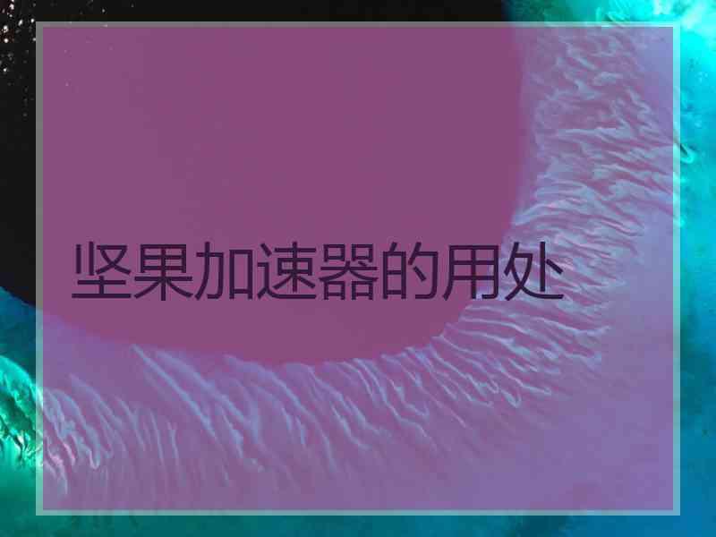 坚果加速器的用处