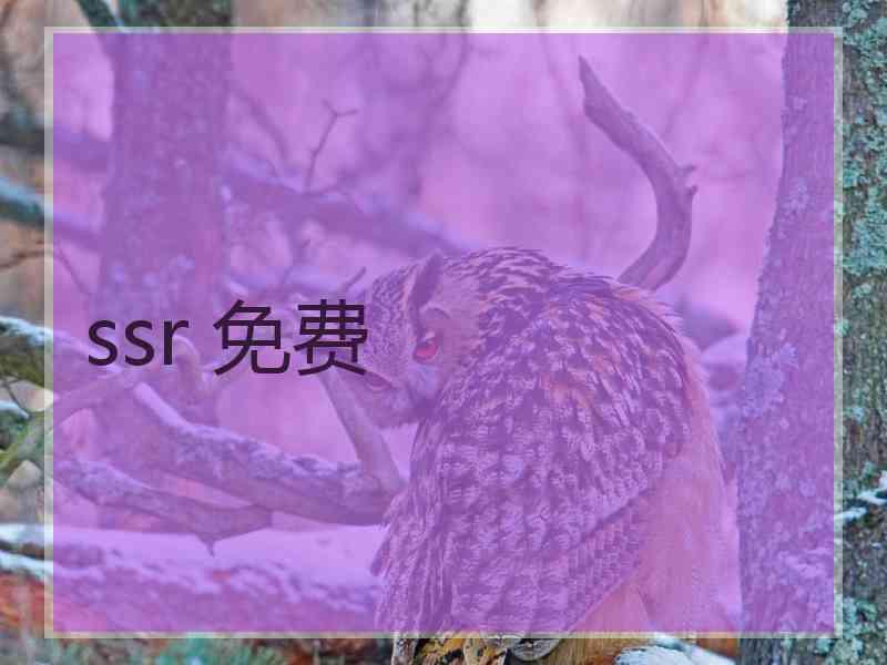 ssr 免费