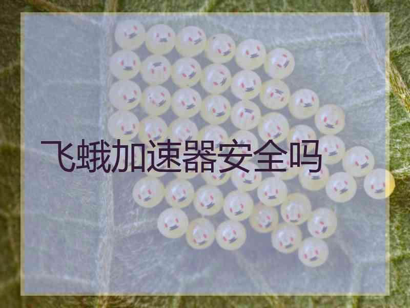 飞蛾加速器安全吗
