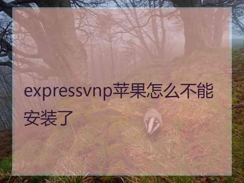expressvnp苹果怎么不能安装了