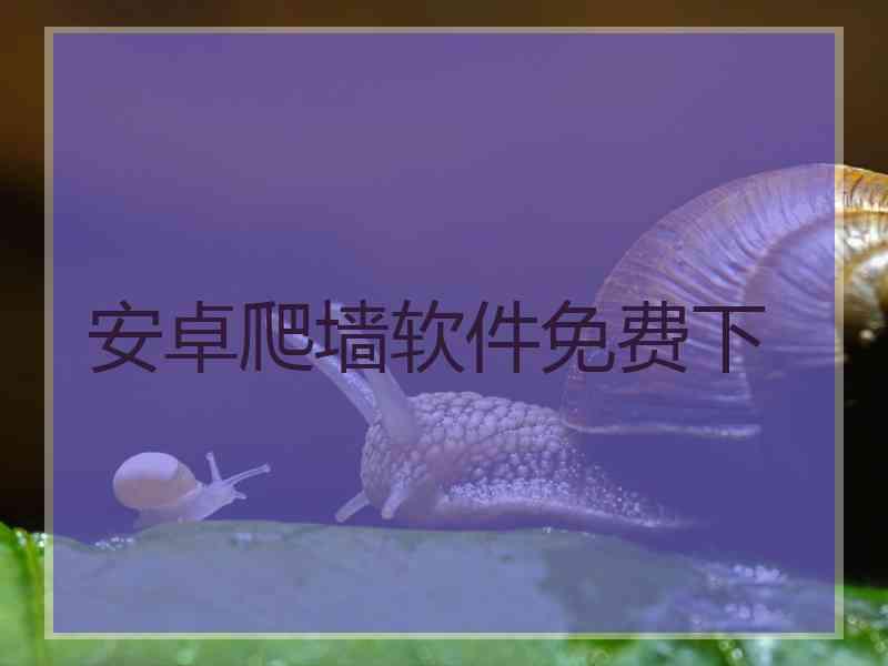 安卓爬墙软件免费下