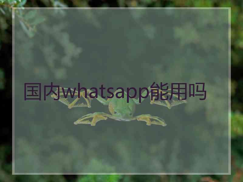 国内whatsapp能用吗