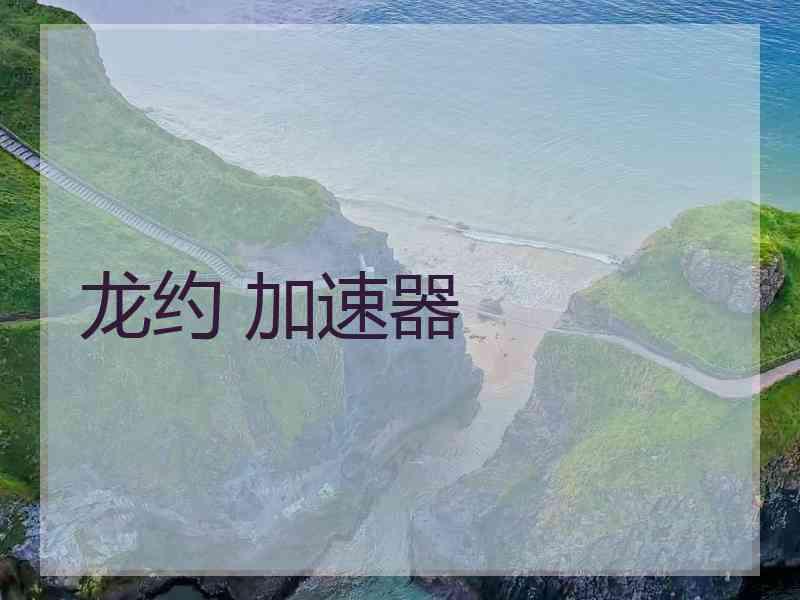 龙约 加速器