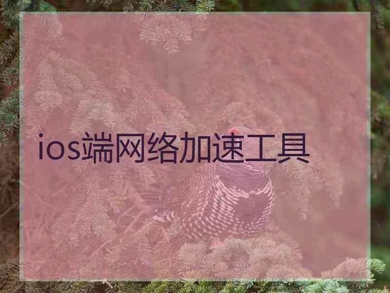 ios端网络加速工具