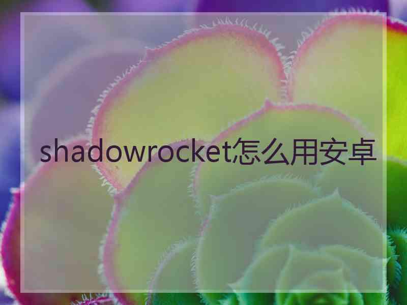 shadowrocket怎么用安卓