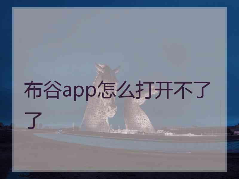 布谷app怎么打开不了了