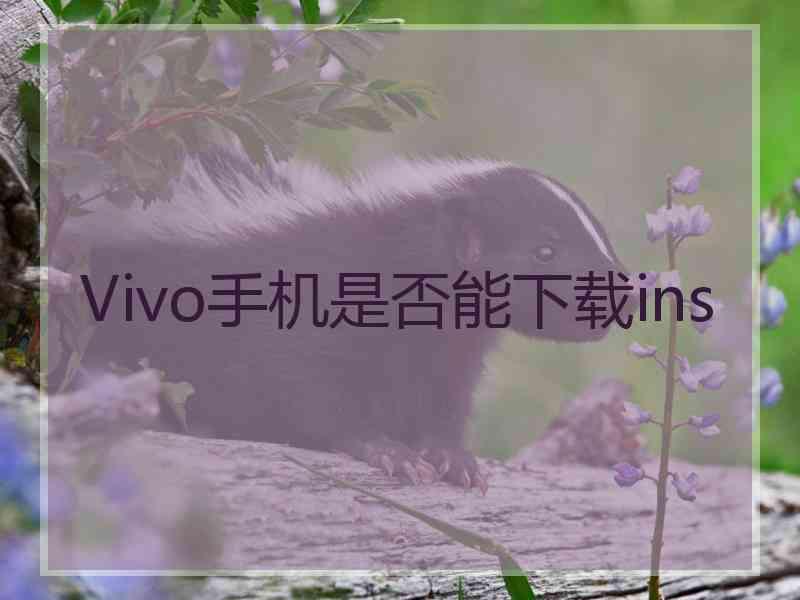 Vivo手机是否能下载ins