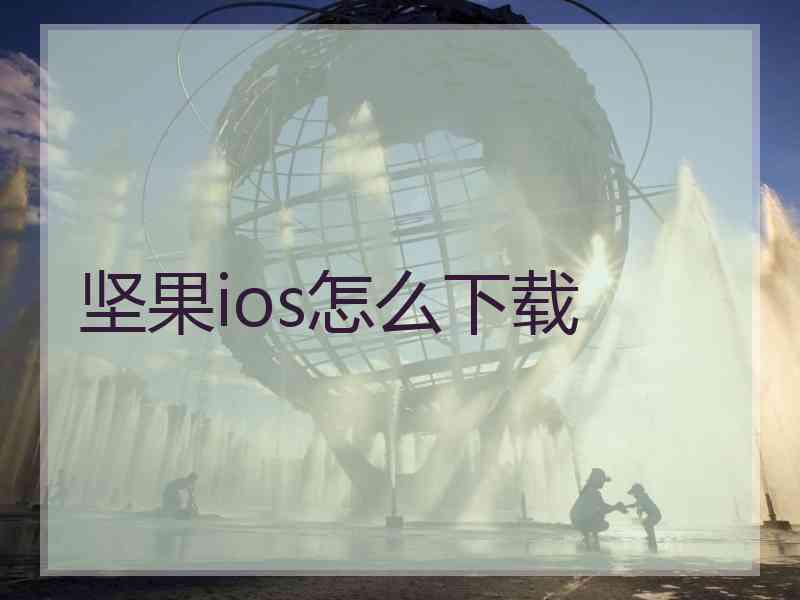 坚果ios怎么下载