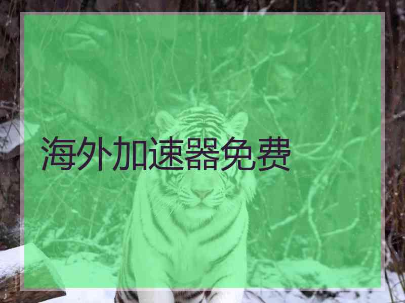 海外加速器免费