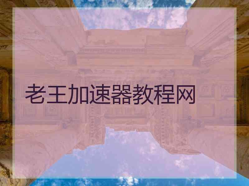 老王加速器教程网