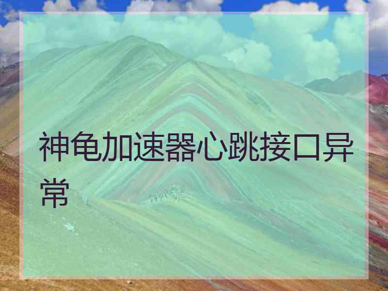 神龟加速器心跳接口异常