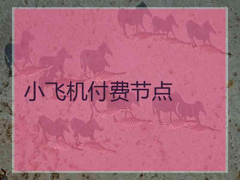 小飞机付费节点