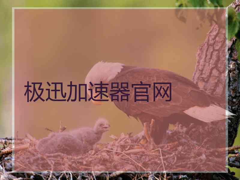 极迅加速器官网