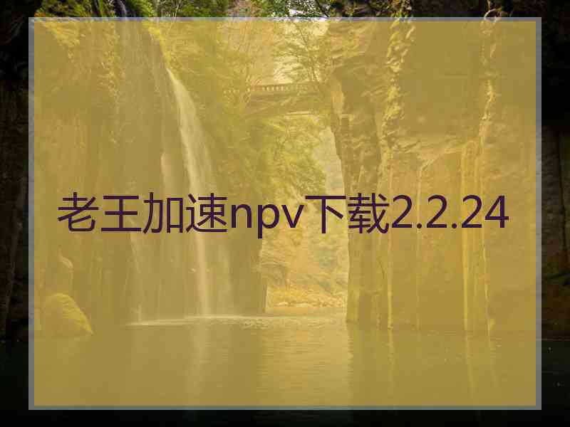 老王加速npv下载2.2.24