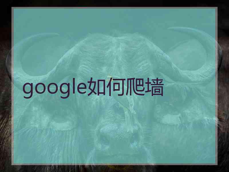 google如何爬墙