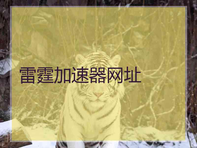 雷霆加速器网址