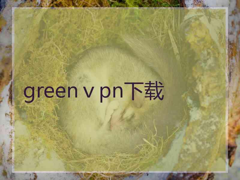 greenⅴpn下载