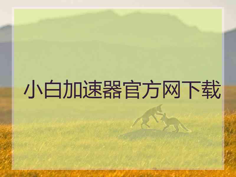 小白加速器官方网下载