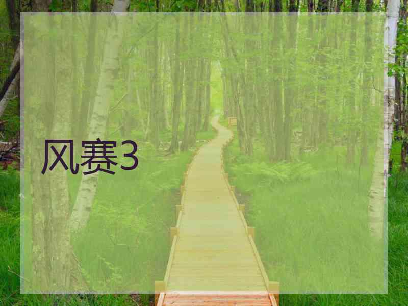 风赛3