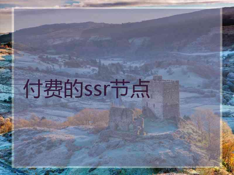 付费的ssr节点