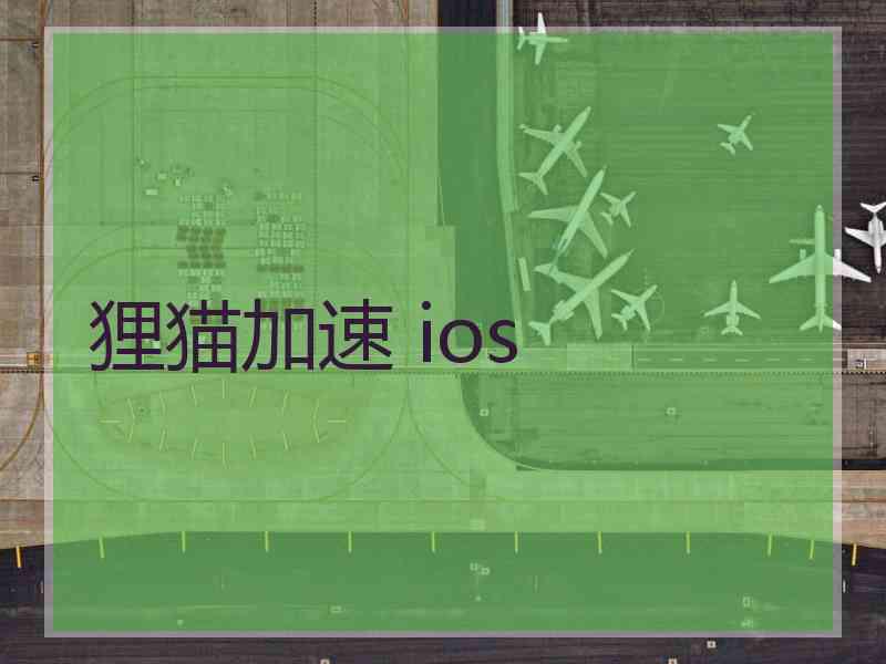 狸猫加速 ios